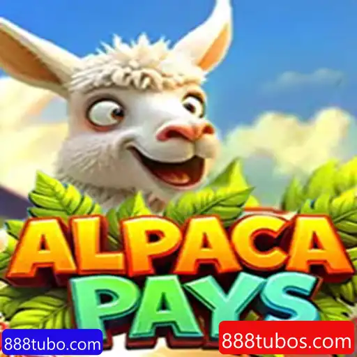 Descubra o Fascinante Mundo de AlpacaPays no 888tubo.com